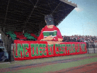Ultras Bejaia GIF