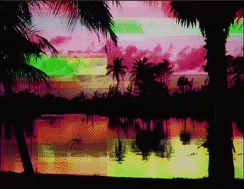 palm aleela GIF