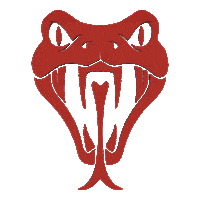 Lets Go Fitness Sticker by Snake Bite Fitness™