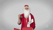 santa claus football GIF by Bundesliga