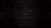 EastCoastCapital  GIF