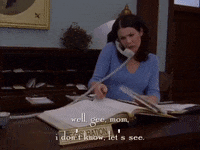 season 1 netflix GIF by Gilmore Girls 