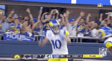 Los Angeles Rams Football GIF by NFL