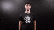 Esports No GIF by ENCE