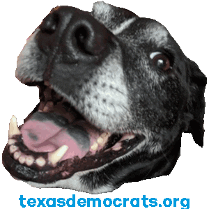 texasdemocrats giphyupload dog puppy dogs Sticker