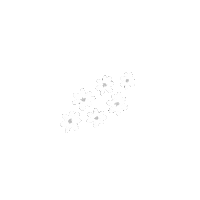 nyeor white nature flowers spring Sticker