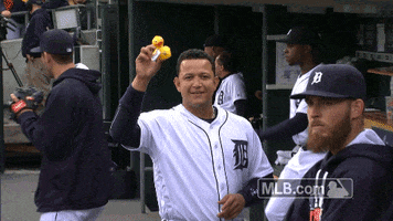 Major League Baseball Reaction GIF by Detroit Tigers