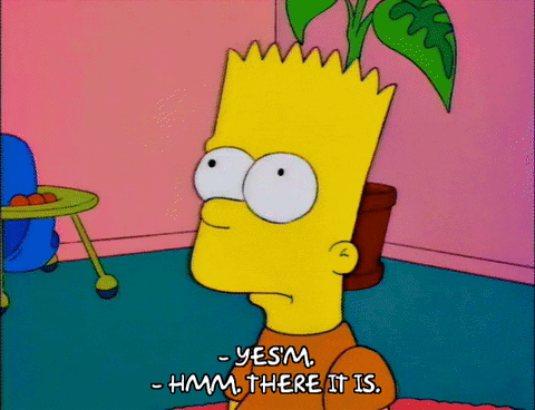 homer simpson GIF