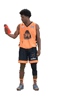 SPDC cbb wilson basquete basquetebol Sticker
