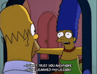 homer simpson episode 22 GIF