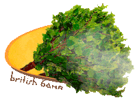 britishbanya spa баня красная поляна british banya Sticker