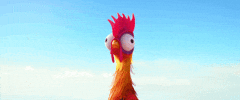 grumpychickenpty  GIF