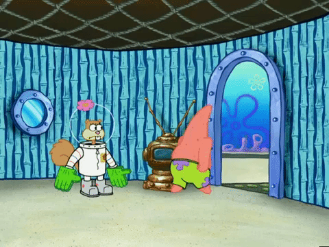 season 5 to love a patty GIF by SpongeBob SquarePants