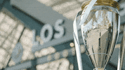 Mls Cup Football GIF by Major League Soccer