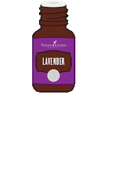 young living lavender Sticker by Young Living Essential Oils