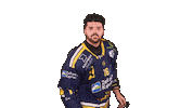 Zellamsee Ekz Sticker by EK Zeller Eisbären