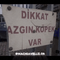 Kopek Taksi GIF