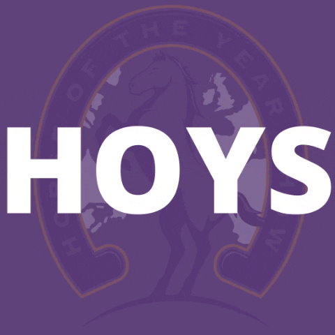 hoys_official horse horses equestrian equine GIF