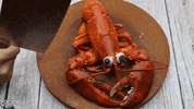 Food Shrimp GIF by Cookingfunny