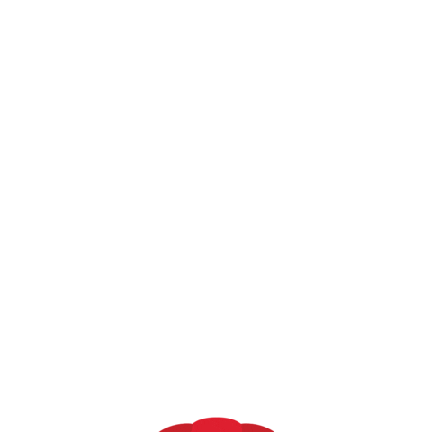 Real Estate Remax Sticker by Remax_bonjour
