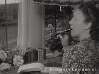 Thinking Diary GIF by BrabantinBeelden