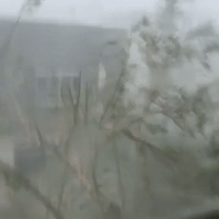 Typhoon Talim Brings Strong Winds and Rain to Miyako-jima