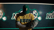 Ndsu Baseball GIF by NDSU Athletics