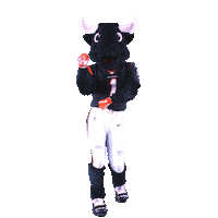 Dance Dancing Sticker by Houston Texans