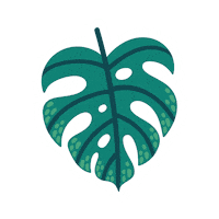 telekomromania flowers telekom flori flower shop Sticker