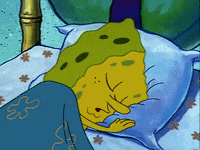 season 1 episode 3 GIF by SpongeBob SquarePants