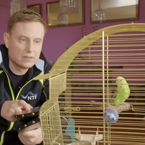 GIF by NTE Grøntforsprang