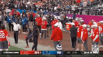 Nfl Pro Bowl Football GIF by NFL