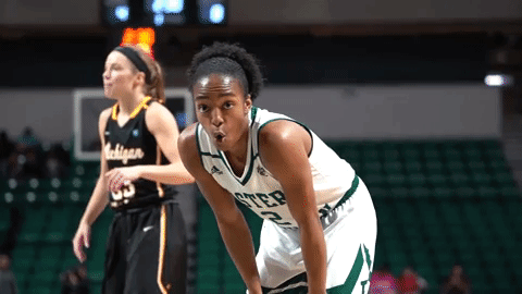 emueagles goeagles GIF by EMU Athletics