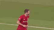 TorontoFC football soccer celebration celebrate GIF