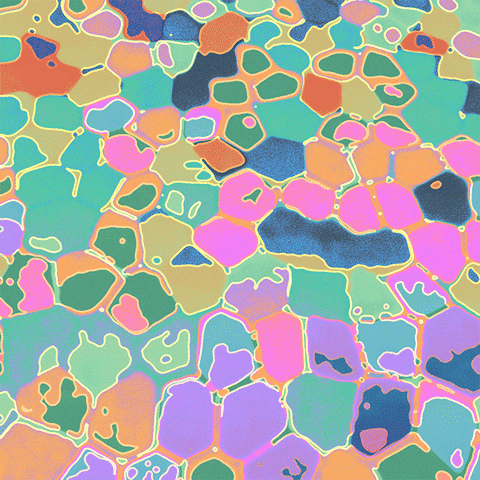 Rainbow Loop GIF by Toke