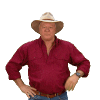 Renovate Channel 9 Sticker by The Block