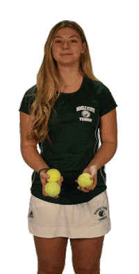 Bsu Sticker by Bemidji State Beavers