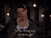 season 5 netflix GIF by Gilmore Girls 