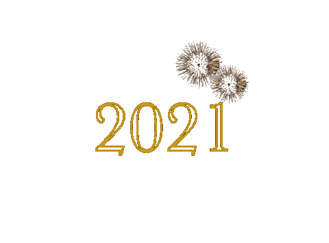 New Year Fireworks Sticker