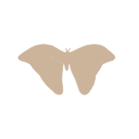 Msc Sticker