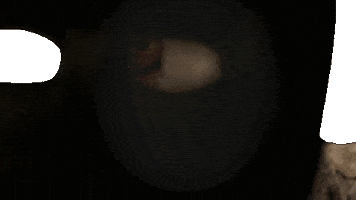 Horror Scarecrow GIF by Lionsgate