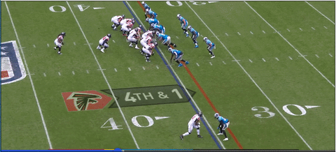 carolina panthers falcons GIF
