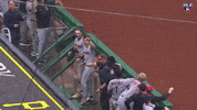 Sport Yelling GIF by MLB