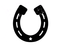 leahchambersllc horseshoe leahchambers GIF