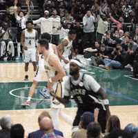Basketball Celebrate GIF by Milwaukee Bucks