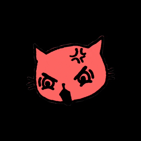 gatitosentimental gatitosentimental GIF