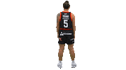 Sport Basketball Sticker by Basket_fi