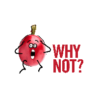 Question Sticker by TOSOC