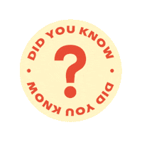 BuyWomenBuilt bwb buy women built buywomenbuilt she built this Sticker