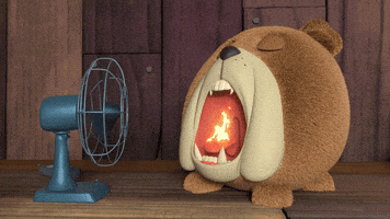 Angry Hot Sauce GIF by HangryPetz